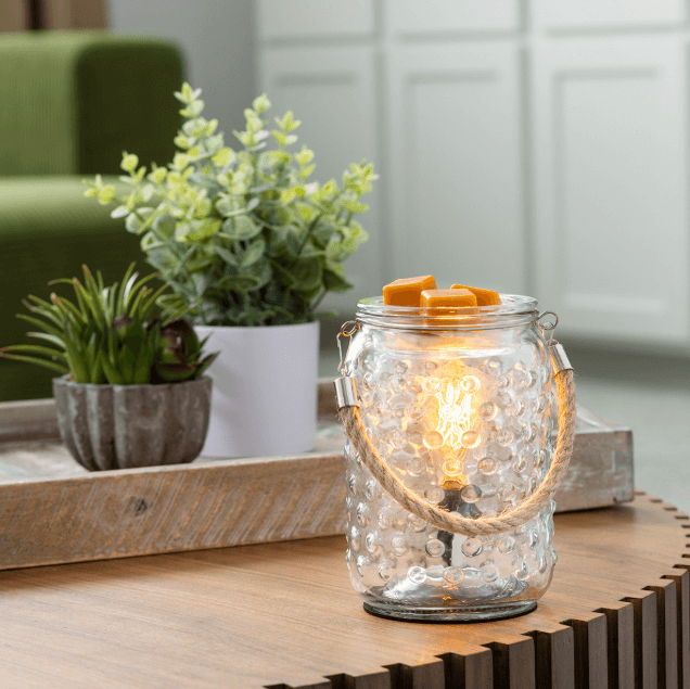 Hobnail & Rope Vintage Bulb Illumination Fragrance Warmer-Hidden Springs Candle Co