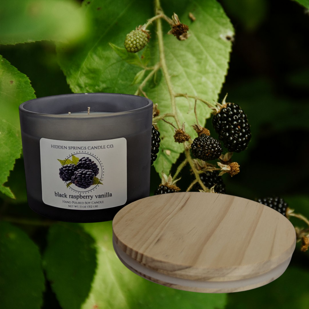 Black Raspberry & Vanilla 3-Wick Soy Candle